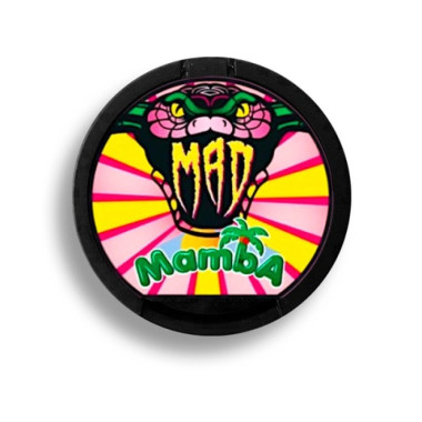 MAD Mamba MAD Mamba
