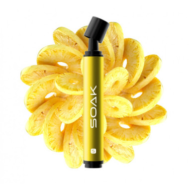 SOAK S Консервированный ананас SOAK S Консервированный ананас