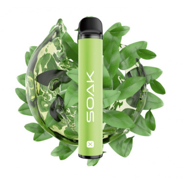 SOAK X Зеленый чай SOAK X Зеленый чай