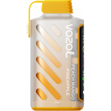VОZOL GEAR POWER 20000 Персик, Манго, Ананас VОZOL GEAR POWER 20000 Персик, Манго, Ананас